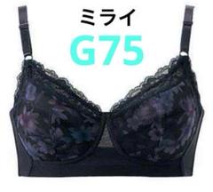 2025年最新】シャルレ ブラジャーb75の人気アイテム - メルカリ
