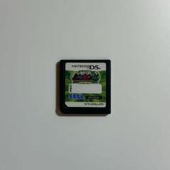 【動作確認済】ムシキング　グレイテストチャンピオンへの道　ds