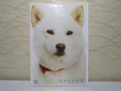 ⭐カイくん日和 DVD⭐