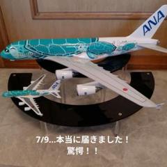 うなりさん確認用ANAフライングホヌ約50cm うなりさん確認用ANAフライングホヌ約50cm - メルカリ