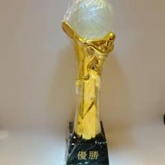 スポーツ テニス トーナメント 優勝トロフィー 贈り物 賞