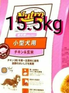 ニュートロナチュラルチョイス 小型犬成犬用　チキン&玄米15.5kgお値下げ不可 ニュートロ ナチュラル チョイス 小型犬用 成犬用 生後8ヶ月以上