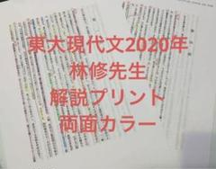 【特別】東大現代文1998年〜2022年 林修先生 解説プリント A4両面カラー 特別】東大現代文1998年〜2022年 林修先生 解説プリント A4両面