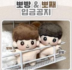 THE BOYZ ヒョンジェ ミニドール Amazon.co.jp: THE BOYZ Doll ヒョンジェ ぬい ぬいぐるみ
