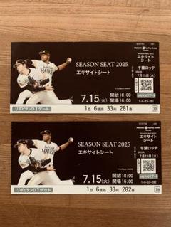 ❇️SEASON SEAT 2025 エキサイトシート 2枚セットのサムネイル