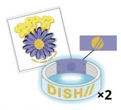 DISH ラバーバンド　ライトバングル セット 2025年最新】dish// ライトバングルの人気アイテム - メルカリ