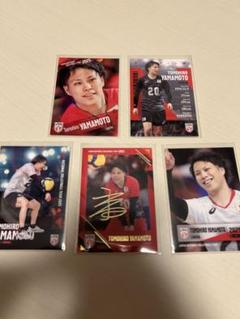 男子バレー日本代表　山本智大　箔サイン含5枚セット