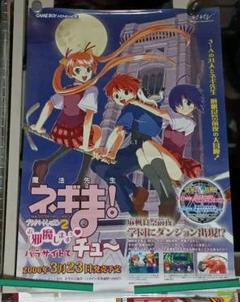 Amazon.co.jp: キャラクターバインダーコレクション 劇場版 魔法先生ネギま! ANIME FINAL : おもちゃ