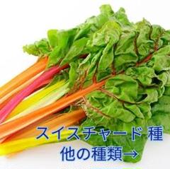 野菜種☆スイスチャード☆変更→春菊 空芯菜 チンゲン菜 ピーマン 春菊