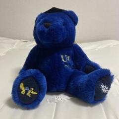 UCI Grad Bear くまのぬいぐるみ