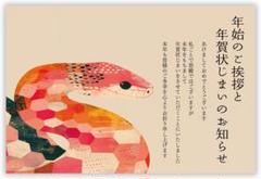 ✨️新品✨️年賀状じまい 新年お知らせ ヘビ 私製はがき 10枚入