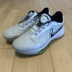 Nike ゴルフシューズ BOAシステム搭載 グレー/ブルー 楽天市場】ナイキ ゴルフシューズ ボアの通販