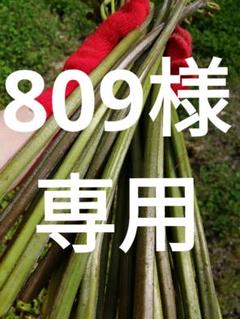 天然　山菜　極太　わらび〜8キロ③ miuranouen_warabi-mura-5kg.jpg