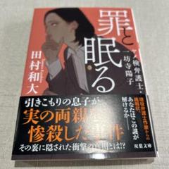 罪と眠る ヤメ検弁護士・一坊寺陽子