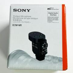 ECM-M1 少し傷あり　動作不良なし　１０回ほど使用 ECM-M1 少し傷あり 動作不良なし 10回ほど使用