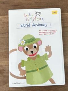 【値下げ】ディズニー英語 DVD ベビーアインシュタイン Yahoo!オークション - （美品/保存品）DVD ベイビー