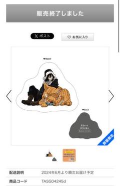 ヒロアカ ミニダイカットクッション 十傑 相澤消太 2025年最新】aj2024 相澤消太の人気アイテム - メルカリ