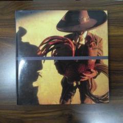 The Mexico of Sergio Bustamante　洋書　補修跡あり The Mexico of Sergio Bustamante 洋書 補修跡あり - メルカリ