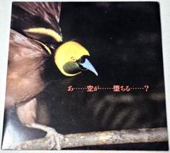 YBO2 Live CD 4タイトル（超希少） YBO2 / ワイビーオーツー商品一覧｜ディスクユニオン