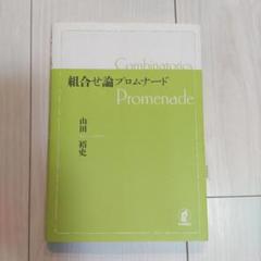 組合せ論プロムナード 山田裕史 日本評論社 組み合わせ論
