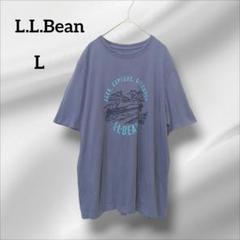エルエルビーン　半袖　Tシャツ　オーバーサイズ グラフィック　ブルーグレー　L