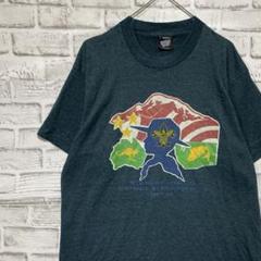 USA製90sヴィンテージTシャツ！シングルステッチ　ブルー半袖古着L 10