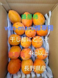 2025年最新】蜂屋柿の人気アイテム - メルカリ