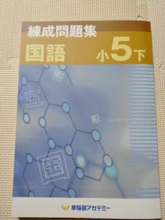 m32043537677_1.jpg?1718513668