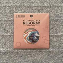 天野明展 家庭教師ヒットマンREBORN! フレークシール