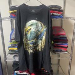②90sユニセックス黒自然アニマル鷲イーグルメンズTシャツUSA直輸入 動物古着