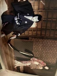 松本幸四郎、中村七之助舞台写真23のサムネイル