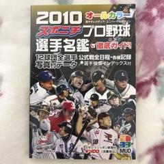 2010〜2013年までのプロ野球選手ガイドブック 2010〜2013年までのプロ野球選手ガイドブック