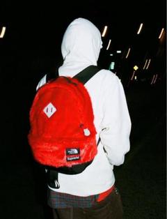 SUPREME × THE NORTH FACE　20AW リュック 人気コラボ Supreme x The North Face Bleached Pocono Backpack