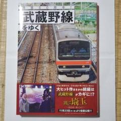 武蔵野線205系　制輪子(ブレーキシュー) NS-513 武蔵野線205系 制輪子(ブレーキシュー) NS-513 - メルカリ