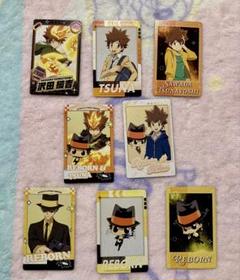 家庭教師ヒットマンREBORN！ スナップマイド　沢田綱吉&リボーン　8枚