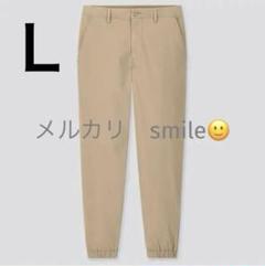 イベントセール】 大きいサイズ レディース コサージュ付き袖