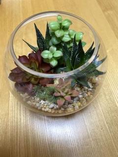 【海外限定】 エミリオロバ多肉植物タグ付き アートフラワー鉢花