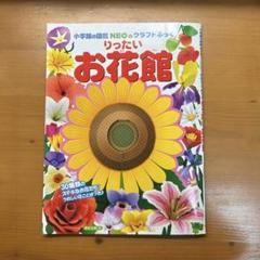工作本　立体　花　小学生