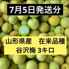 01.常温便【幻の梅】山形県寒河江市産 谷沢梅 箱抜き 10kg 中熟 青梅 2025年最新】谷沢梅の人気アイテム - メルカリ