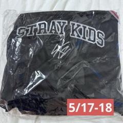 2025年最新】StrayKids dominate アプグレの人気アイテム - メルカリ