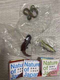 ネイチャーテクニカラー　日本のいきもの　まとめ売り