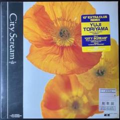 希少・未開封 初回プレス12インチ盤　鳥山雄司 CITY SCREAM 12\