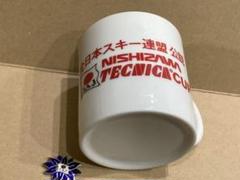 SAJ全日本スキー連盟バッヂ】廃番級別技術章1～5級セット売り 送料