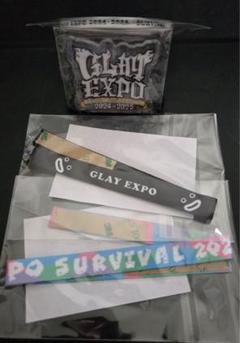 GLAY ランダムグッズ 先行限定 貴重 レア ブランケット 2025年最新】GLAY expo ランダムの人気アイテム - メルカリ