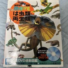 move 図鑑 爬虫類・両生類