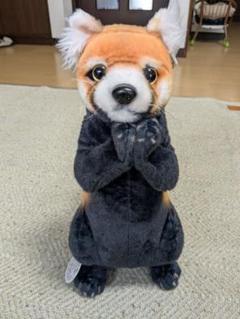 ちょこんとアニマル レッサーパンダ ぬいぐるみ 40cm