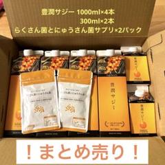 フィネス 豊潤サジー 1000ml×4本 300ml×2本 サプリ×2袋セット