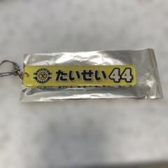 m25979944862_1.jpg?1750563757