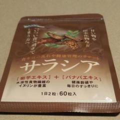 サラシア 約1ヵ月(60粒入)◆食生活の乱れや健康管理のサポート!!