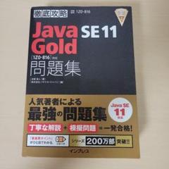 2025年最新】java gold 11の人気アイテム - メルカリ